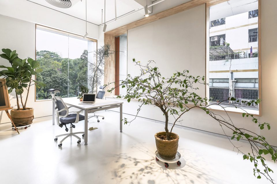 辦公室綠植裝修設(shè)計(jì) 辦公室綠植裝修設(shè)計(jì)